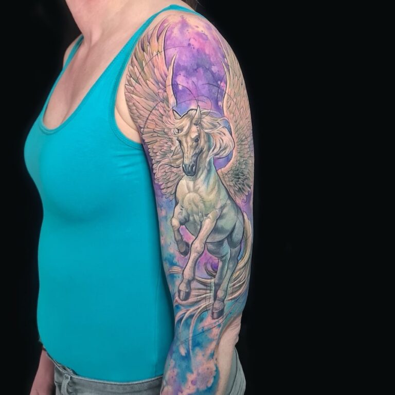 Sleeve in kleur met pegasus gezet door Dondersch